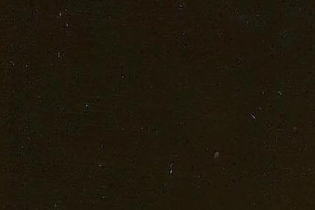 Фрагмент Test of True Love