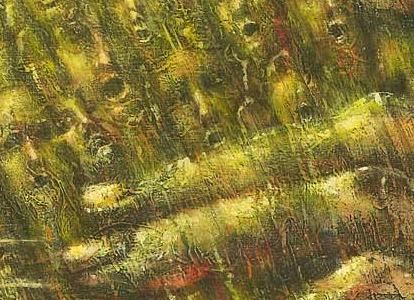 Фрагмент The awakening