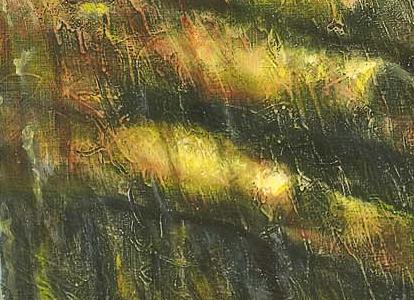 Фрагмент The awakening