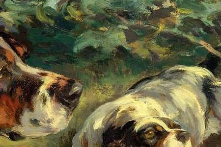 Фрагмент THE CURIOUS PUPS