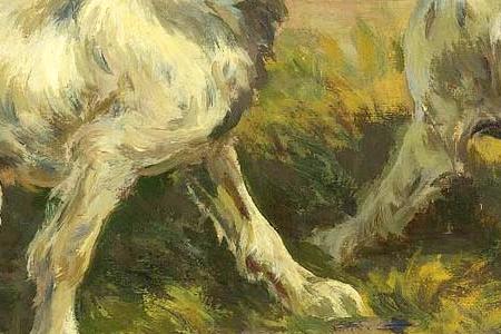 Фрагмент THE CURIOUS PUPS