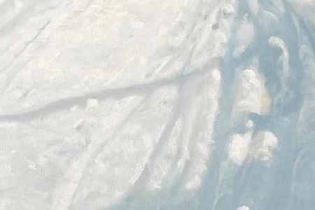 Фрагмент The First Snow