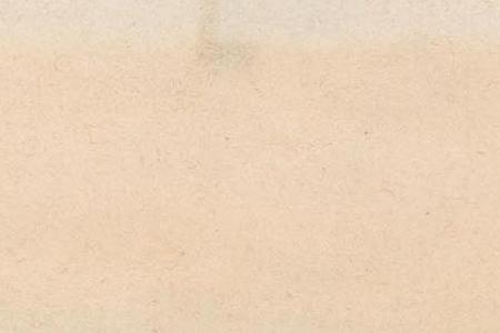 Фрагмент The Imperial Stables in Peterhof