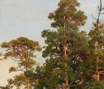 Фрагмент The Pine Forest