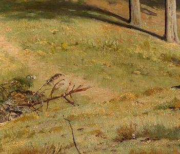 Фрагмент The Pine Forest