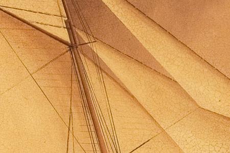 Фрагмент The Schooner Genesta.