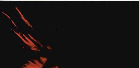 Фрагмент THREE SELF-PORTRAITS