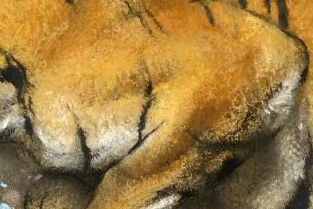 Фрагмент TIGER DRINKING