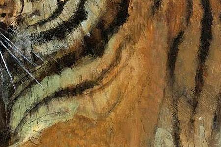 Фрагмент TIGER