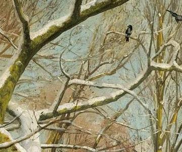 Фрагмент TRACKS THROUGH THE FOREST