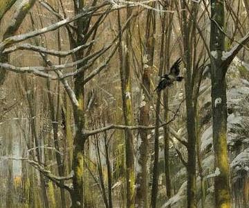 Фрагмент TRACKS THROUGH THE FOREST