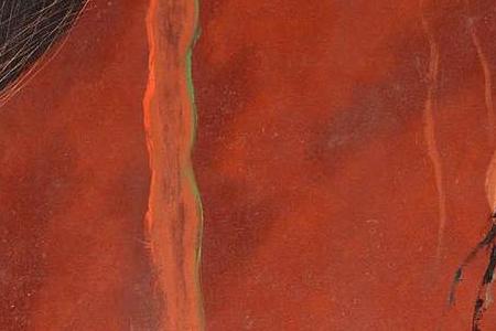 Фрагмент TRAPPER