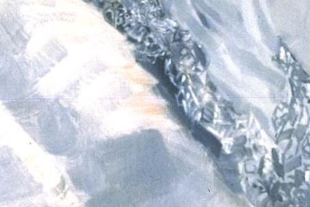 Фрагмент Царевна-лебедь