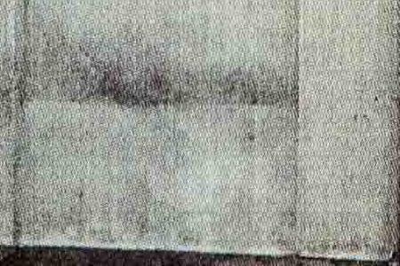 Фрагмент Церковь Спаса Преображения на Бору. 1883.