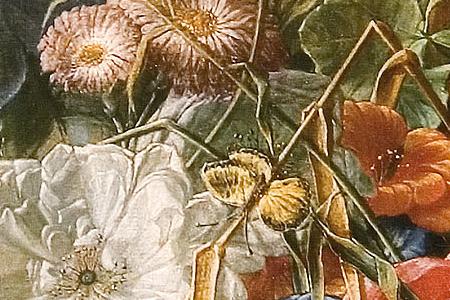 Фрагмент Цветы и фрукты.