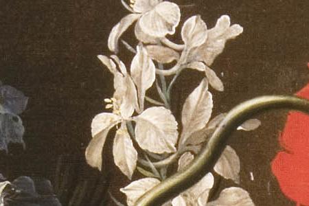 Фрагмент Цветы и фрукты. Середина ХIX века.