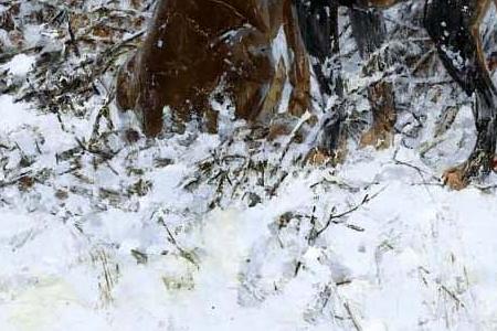 Фрагмент TYING UP THE GAME