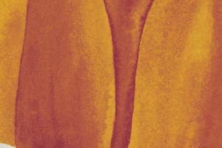 Фрагмент Тюльпаны