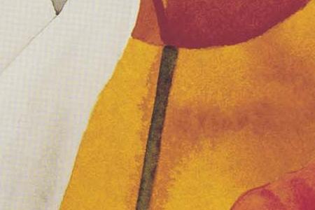 Фрагмент Тюльпаны