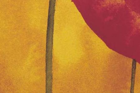 Фрагмент Тюльпаны