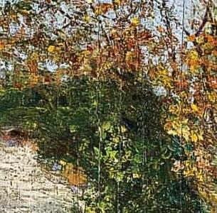 Фрагмент Угол нашей дачи