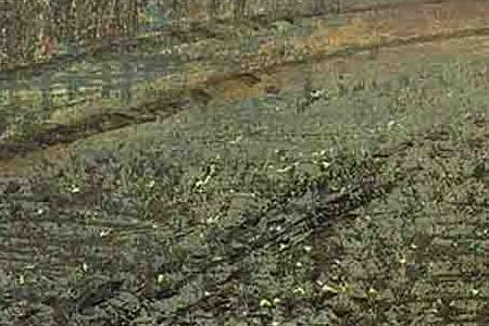 Фрагмент Under the moonbeams, Knostrop Hall