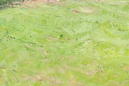 Фрагмент Une villa Trouville