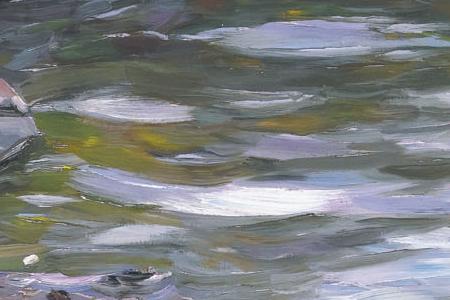 Фрагмент Утки купающиеся на пруду