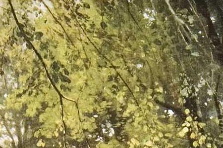 Фрагмент В лесу.1864.