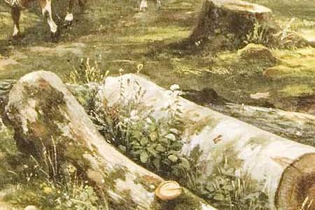 Фрагмент В лесу.1864.