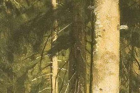 Фрагмент В лесу