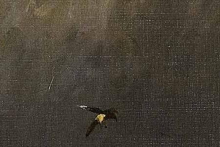 Фрагмент В начале зимы. 1895.