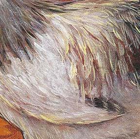 Фрагмент Венецианский петух