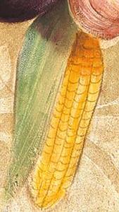 Фрагмент Вертикальная композиция Перец, Лук, Баклажан и прочее I