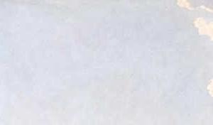 Фрагмент Вид на Каменноостровский дворец от Аптекарского острова