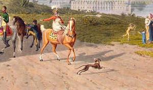 Фрагмент Вид на Каменноостровский дворец от Аптекарского острова