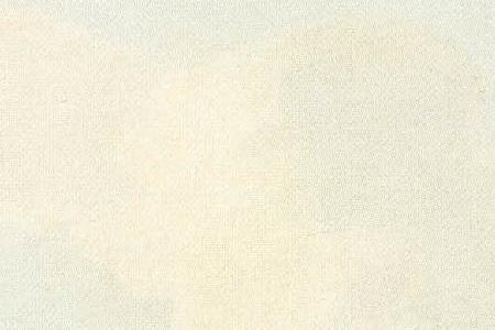 Фрагмент Вид Новодевичьего монастыря.