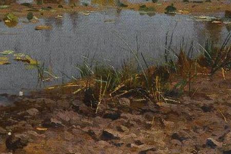 Фрагмент VIEW NEAR LUBNI UKRAINE