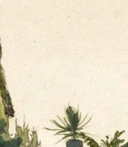 Фрагмент VIEW OF A COURTYARD, ITALY; ENTRANCE TO A HOUSE, LAKE LUGANO