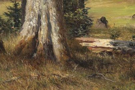 Фрагмент View of a Forest Clearing