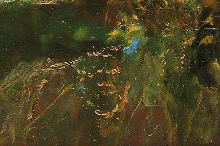 Фрагмент View of a Leopard