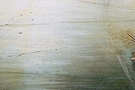 Фрагмент Волга у Жигулевских гор. 1887.