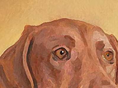 Фрагмент Wade