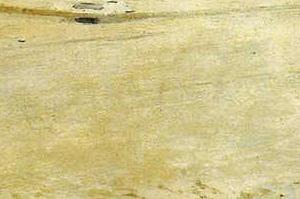 Фрагмент Washington square