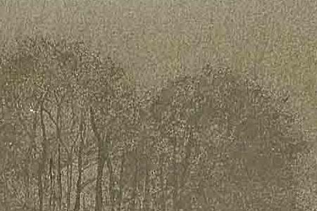 Фрагмент Waterloo Lake Roundhay Park Leeds