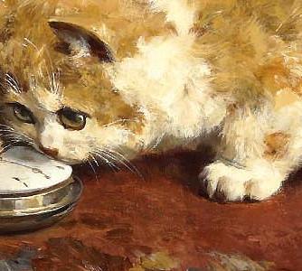 Фрагмент What Time is It