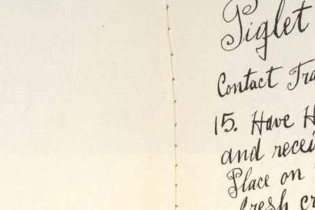 Фрагмент WILD RASPBERRIES в зеленых яблоках