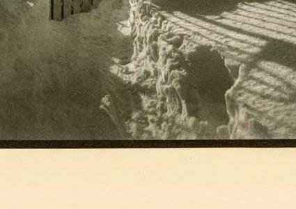 Фрагмент WINTER SPIRIT