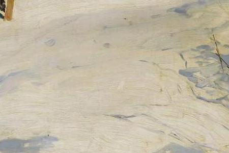 Фрагмент WINTER-SUN