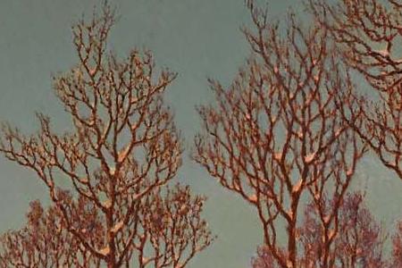 Фрагмент Winter sunset